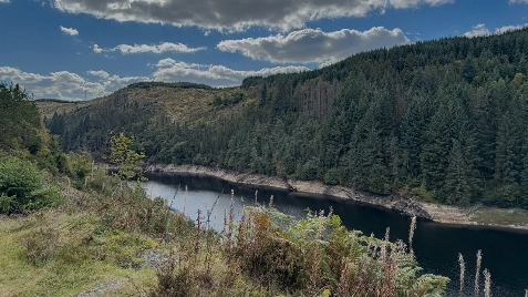Ecological Continuity Trust's Virtual Reality Tour BTS/Documentary image 15